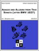 Adagio and Allegro from Trio Sonata (after BWV 1027)