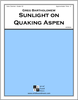 Sunlight on Quaking Aspen