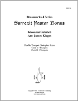 Surrexit Pastor Bonus