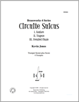 Circuite Suicus