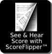 Scoreflipper Icon