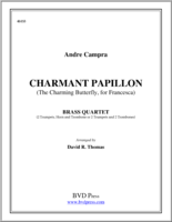 charmant-papillon-2-img