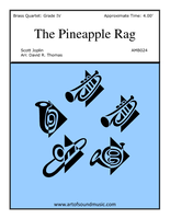 the-pineapple-rag-2-img