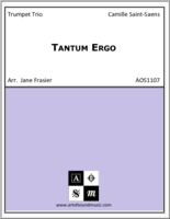 tantum-ergo-2-img