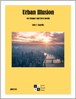 urban-illusion-img