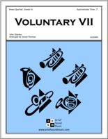 voluntary-vii-img