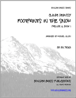 footprints-in-the-snow-des-pas-sur-la-neige-img